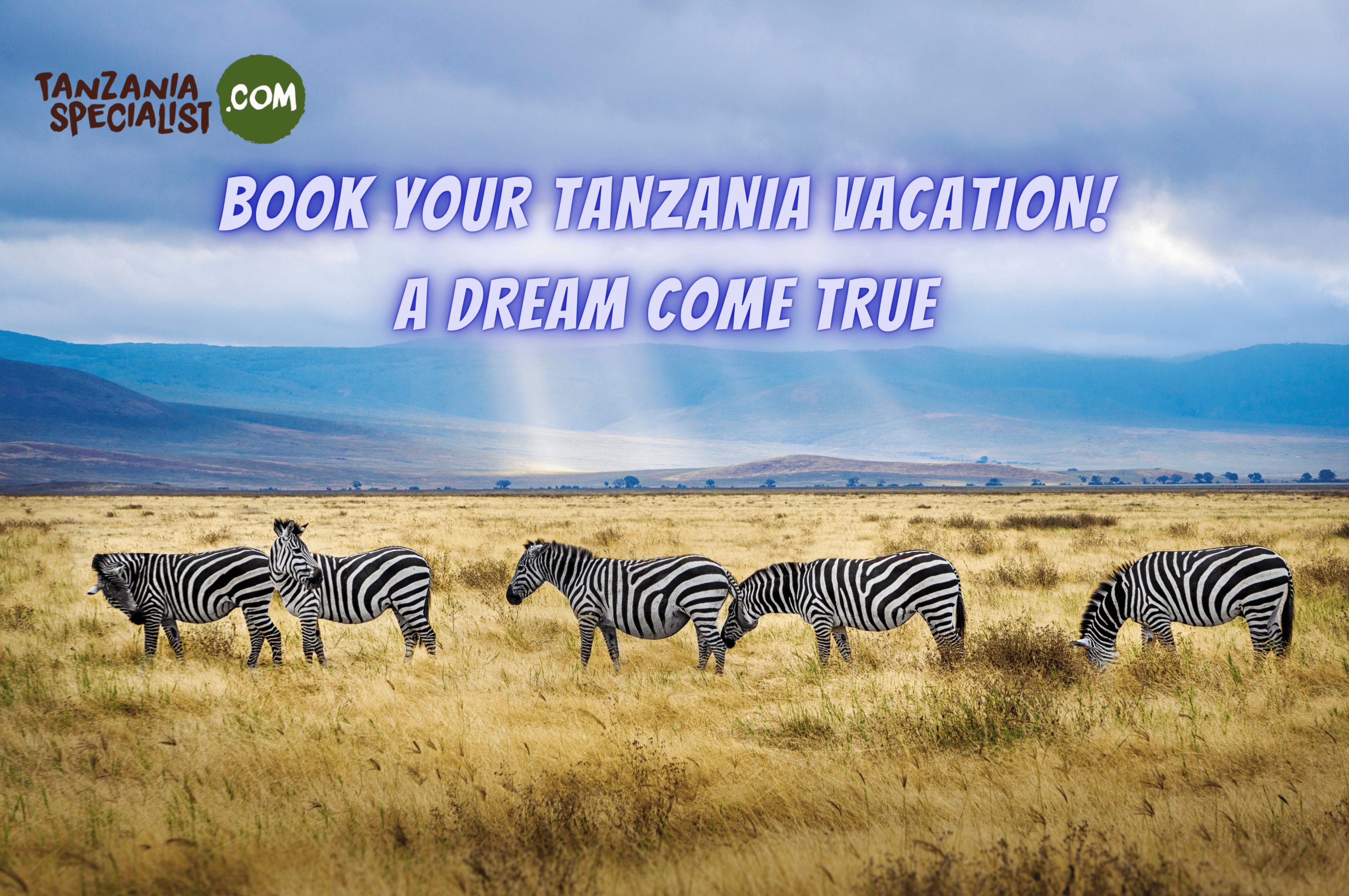 Adventures and Exotic Wildlife Encounters with Tanzania Specialist: A Company Review